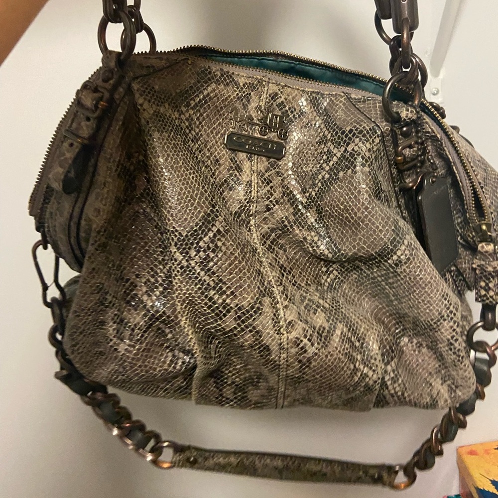 Snake skin coach bag